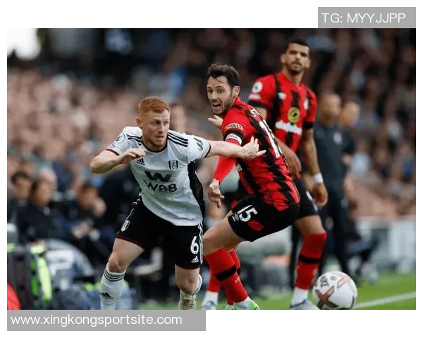 英媒分析罗杰斯或前往沙特执教水晶宫伯恩茅斯富勒姆成潜在选择